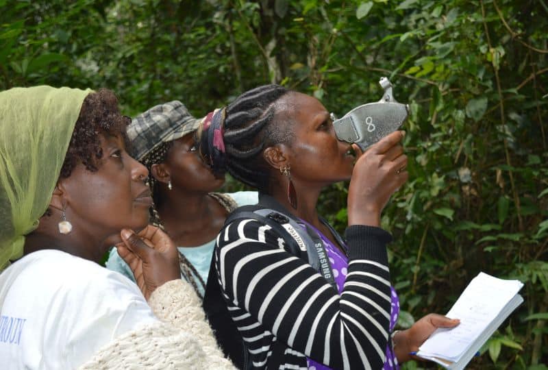 Julie with a group of women looking at the forest canopy