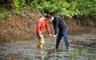 Two people doing ecological work in a large shallow pond