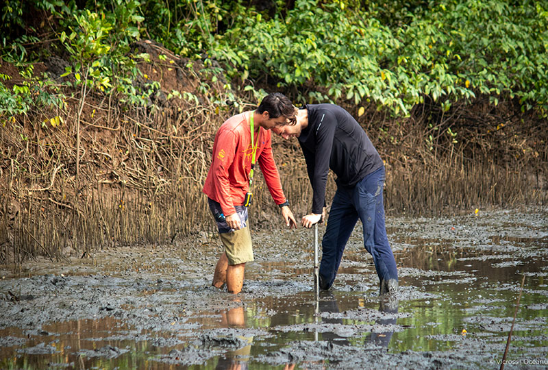 Two people doing ecological work in a large shallow pond