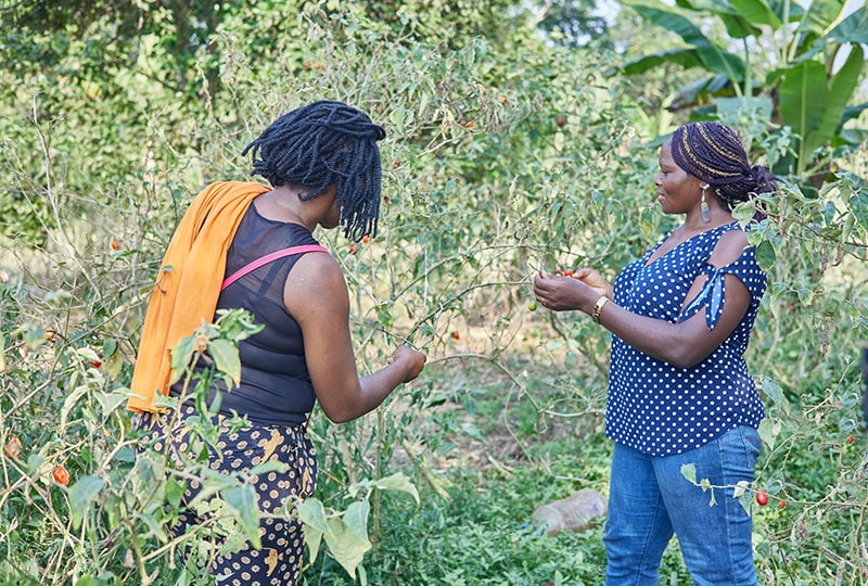 Julie and Merline among trees in a community garden