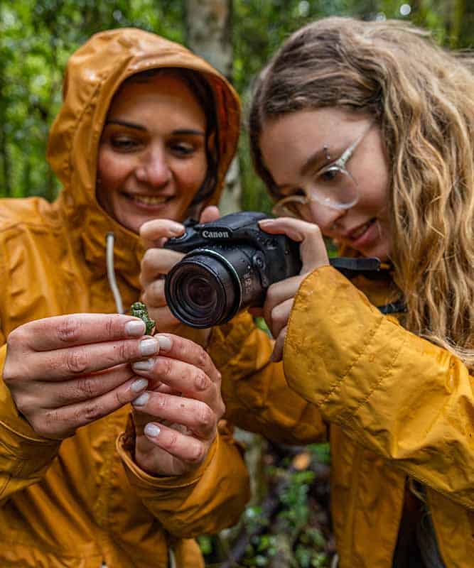 Two scientists taking a photograph of a frog