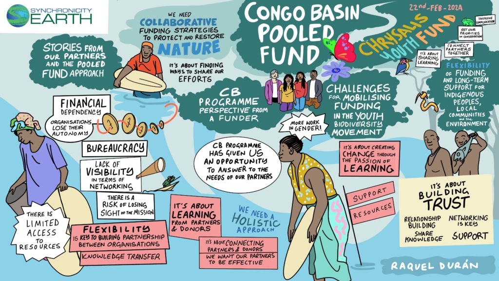 A collage-style diagram inspired by the conversations in the webinar. Broadly there is a river drawing together lots of different groups of people, from funders to people and partners supported by the Congo Basin Programme. The various ideas discussed in the article are quoted throughout.