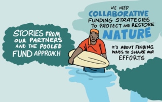 Illustration of person standing in river with captions: We need collaborative funding strategies to protect and restore nature. It's about finding ways to share our efforts. Stories from our partners and the pooled fund approach.