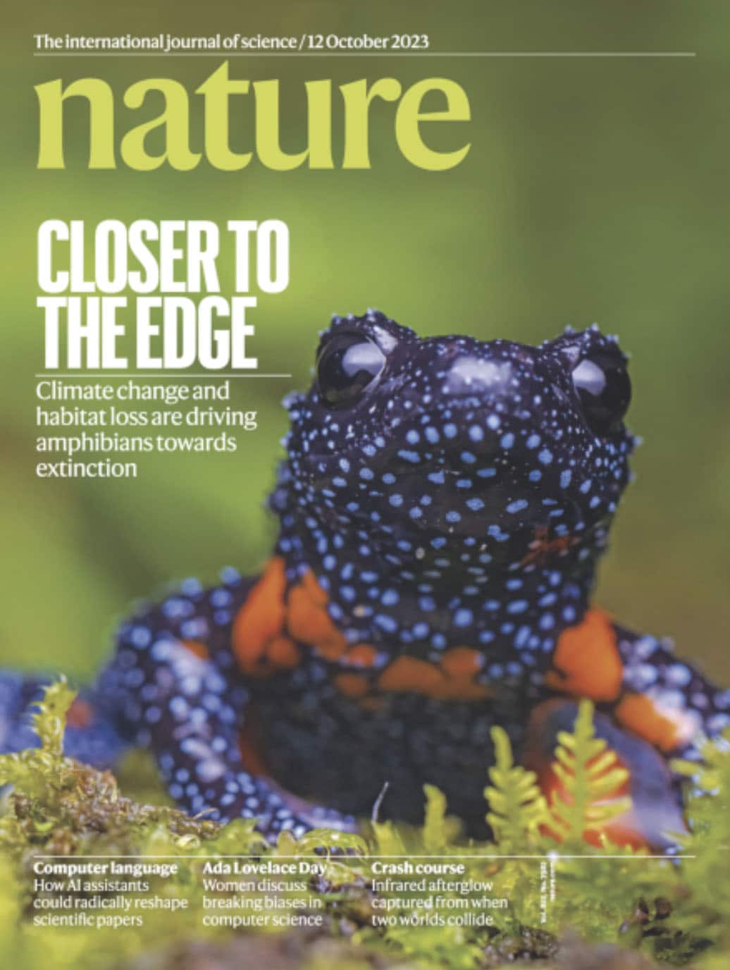 Nature issue cover with frog and Global Amphibian Assessment 2