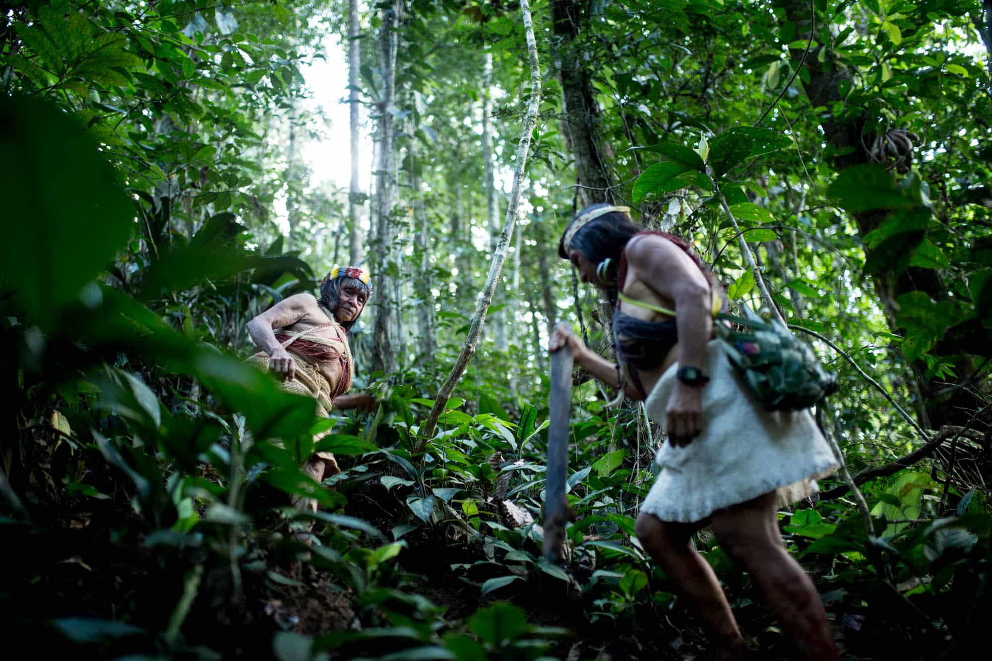 Life Stories Nemonte Nenquimo And Silvana Nihua In Conversation With 