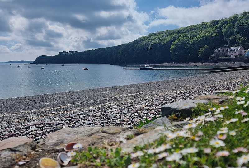A bay with flowers and shells in foreground