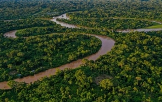 Aerial view of river winding through tropical rainforest