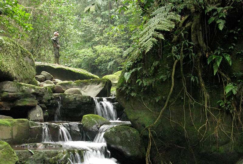 Person stands in waterfall in Annamite forest