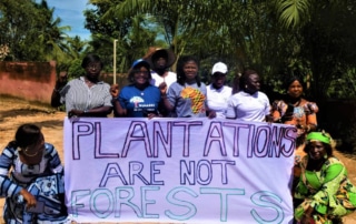 Group holding a sign saying, "Plantations are not forests," outdoors.