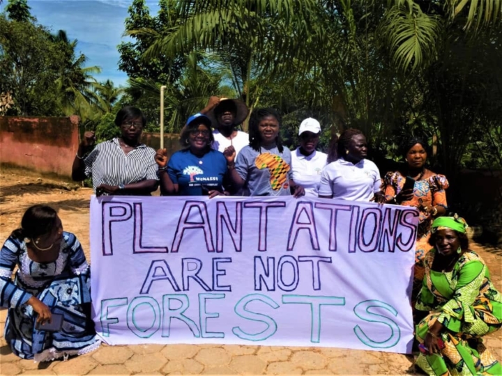 Group holding a sign saying, "Plantations are not forests," outdoors.