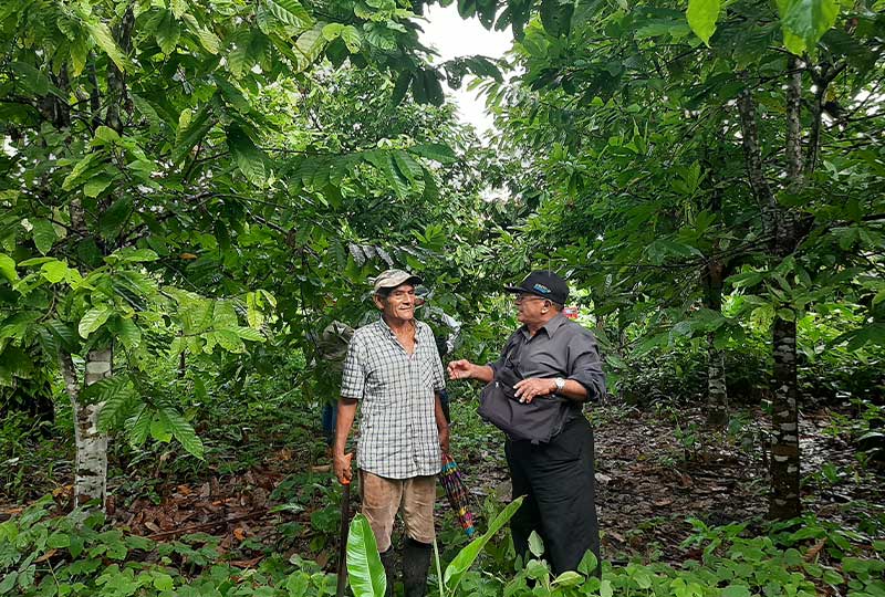 Two men standing and talking in the rainforest
