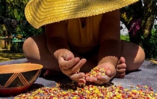person in hat sorting corn