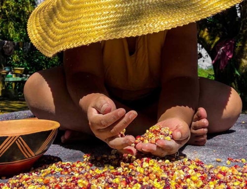 A window into Guarani M’byá food culture