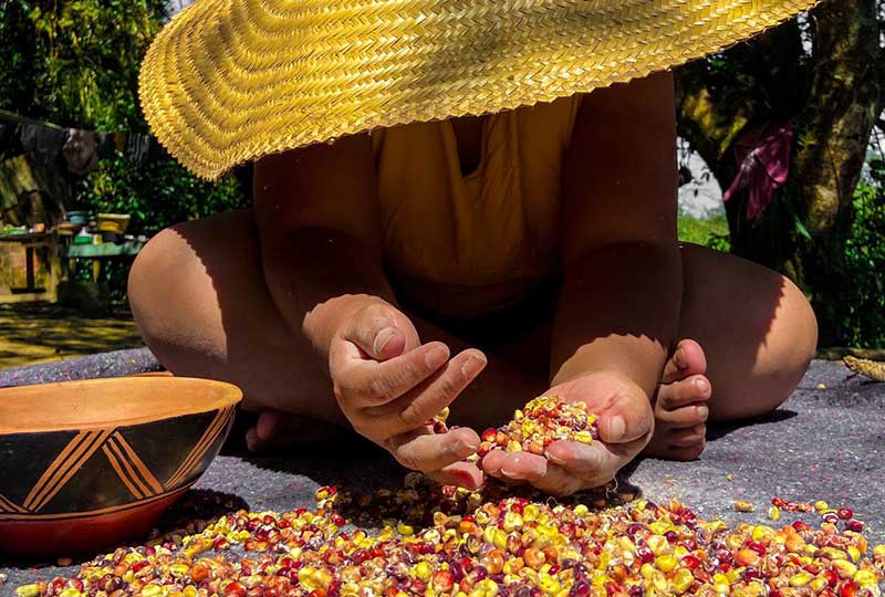 A window into Guarani M’byá food culture