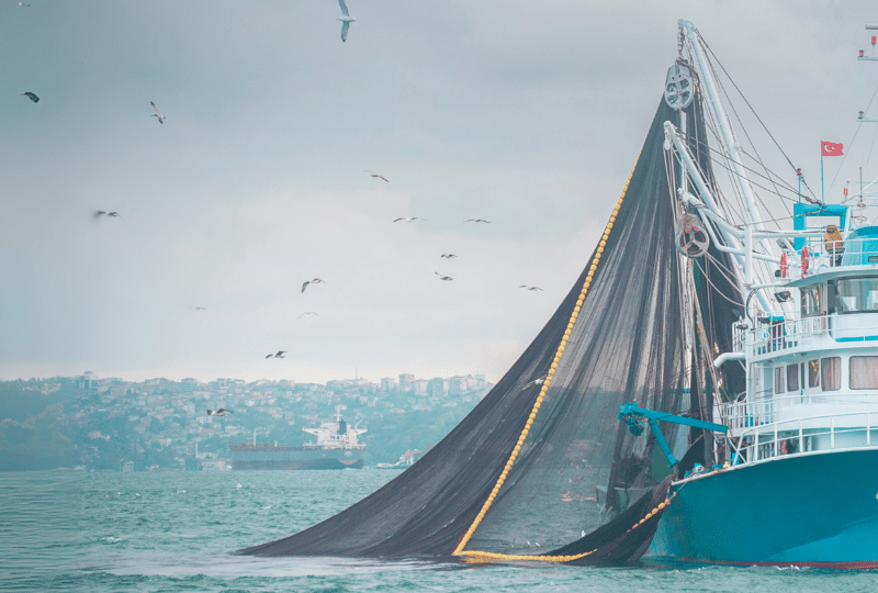 Trawling nets being hauled up by boat