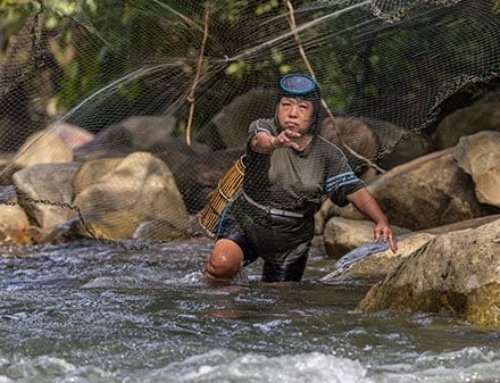 Stewardship as culture and resistance: A freshwater perspective