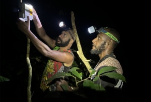 Two scientists looking at a device in a tree
