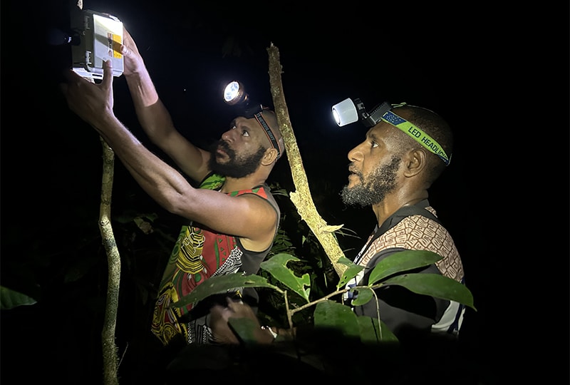 Two scientists looking at a device in a tree