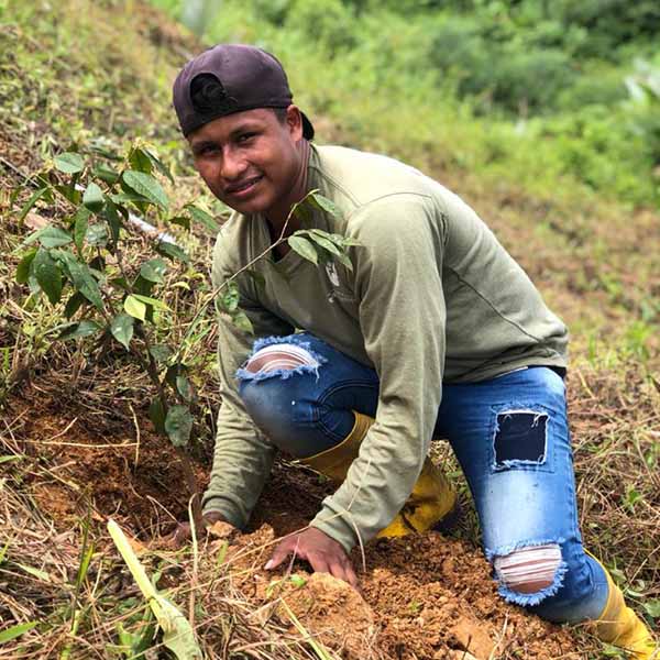 Young man planting a tree on a hillside