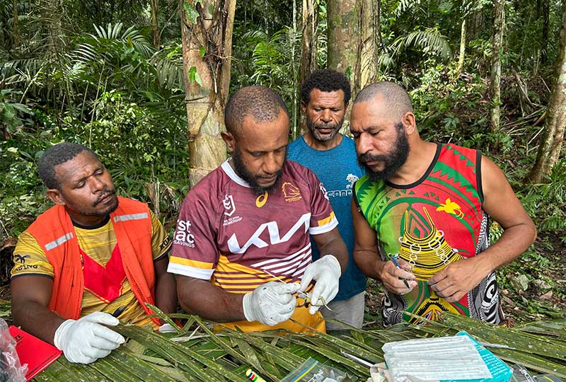 four people in front of a table - one is swabbing a frog