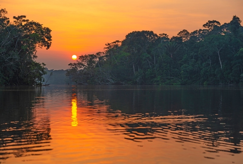 Ecuadorian rainforest and river.