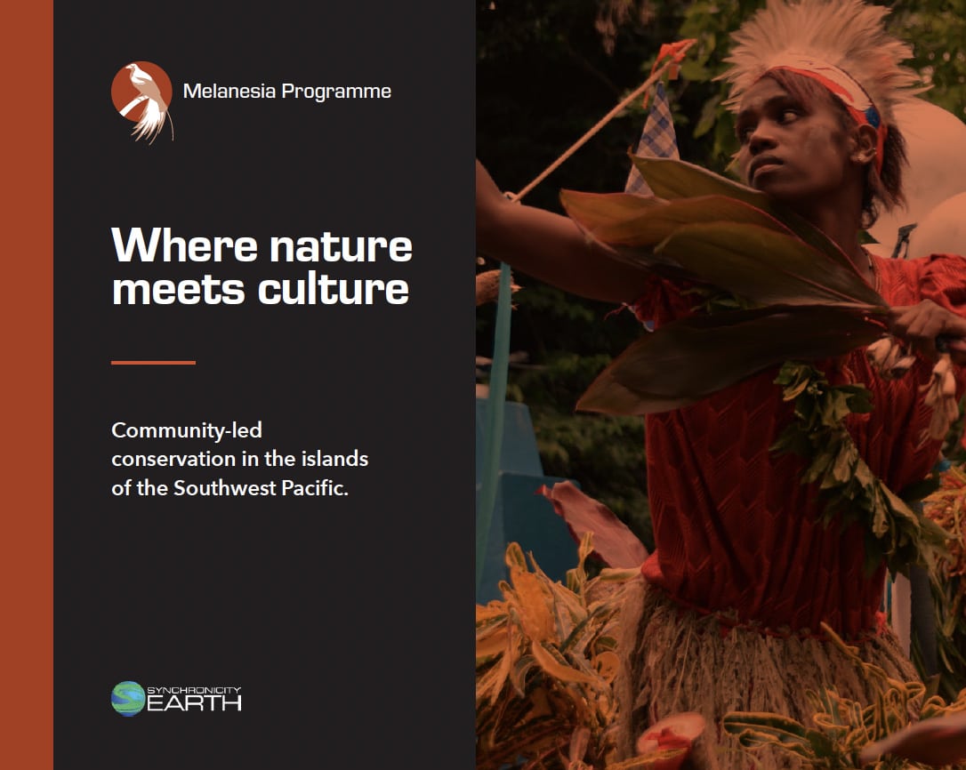 Melanesia pitch deck cover