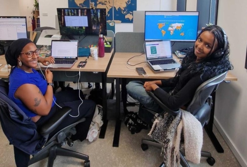 A conversation between our two interns, Juno and Taymar