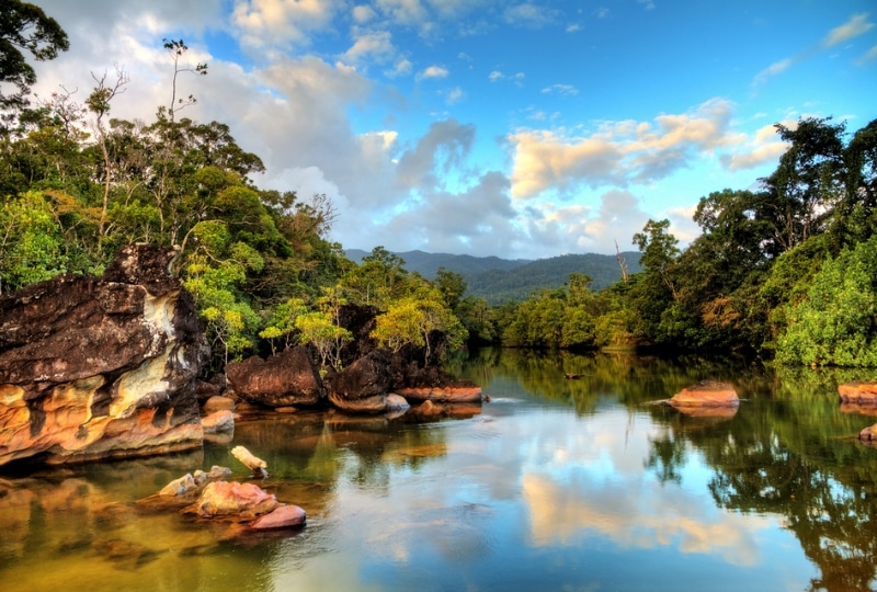 river and forest in Madagascar.