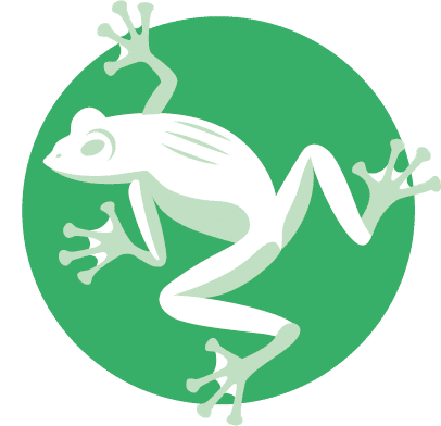 Amphibian
