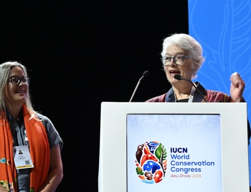 New award launched for early-career marine conservationists