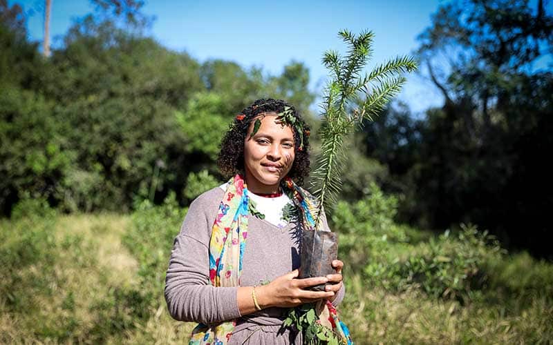 A woman stands in a sunny glade in a forest holding a seedling and smiling