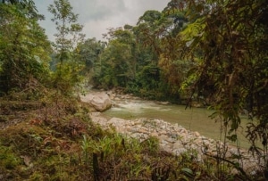 Napo Headwaters - Ilukulin River