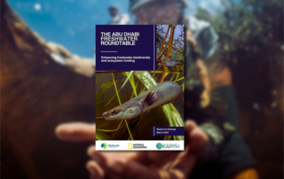 Report over an underwater image