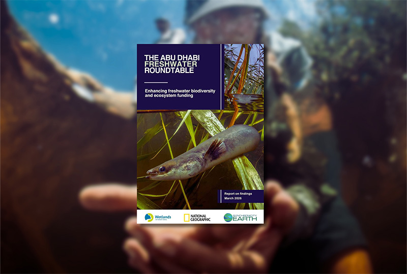 Six ways to increase funding for freshwater species and ecosystems