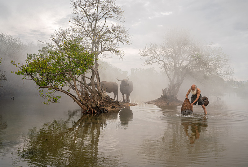 fisherman Fisherman in mist with water buffalo