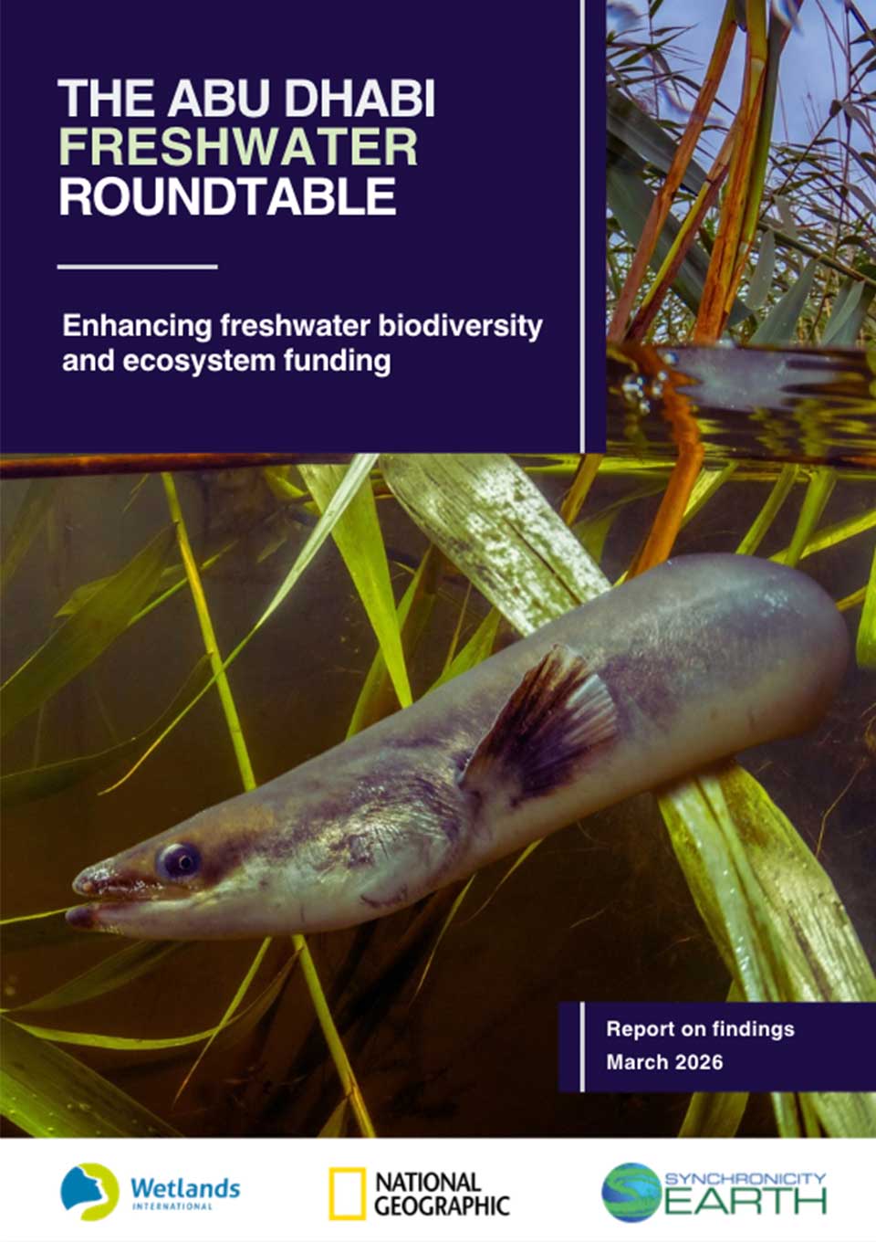 Freshwater report cover