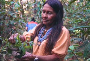 BCD Enable the resilience of Indigenous Peoples and local communities’ living culture. COPYRIGHT Resguardo Santa Rosa del Guamuez