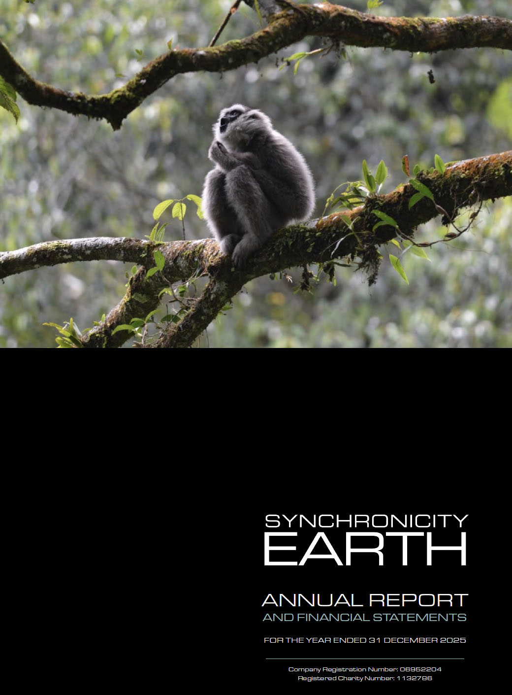 Cover of Annual Report 2025