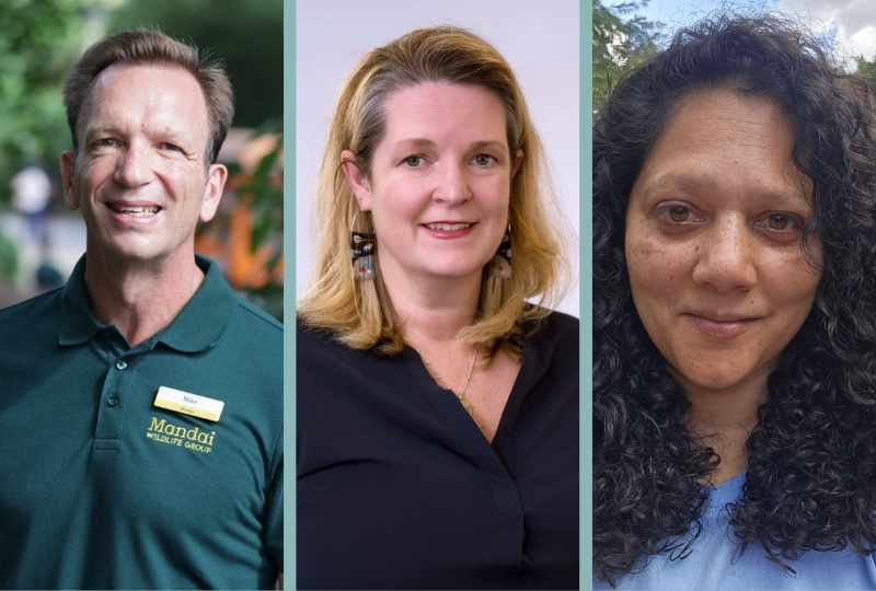 Synchronicity Earth welcomes three new Trustees