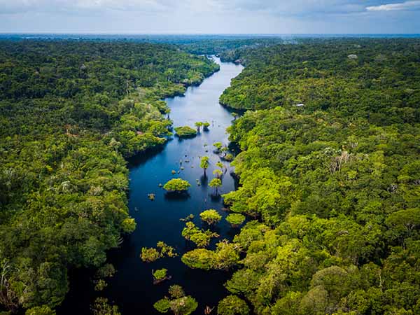 A blackwater river winds through a lush rainforest, image taken from a drone