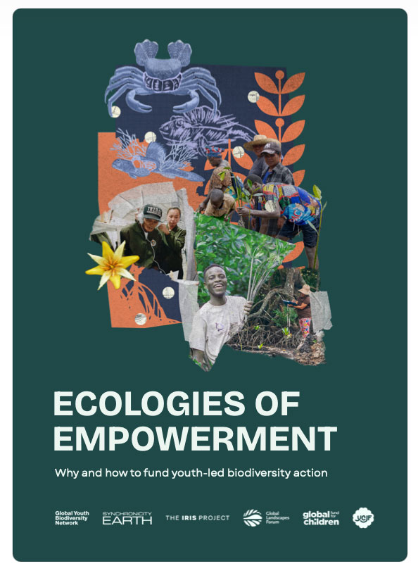 Report Screenshot of the report cover
