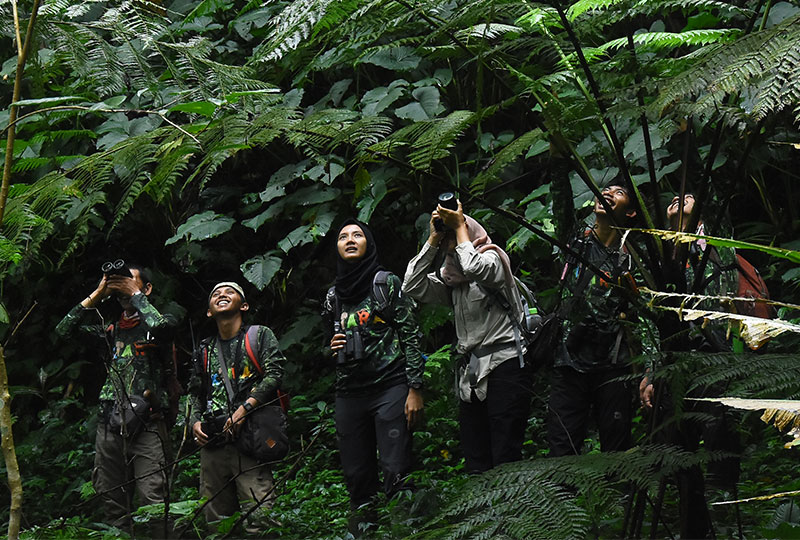 java People in forest looking up into canopy with binoculars