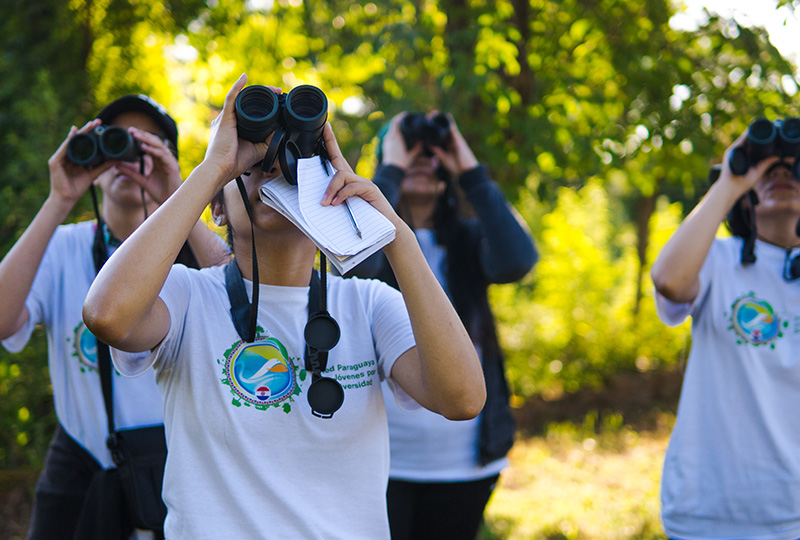 binoculars looking