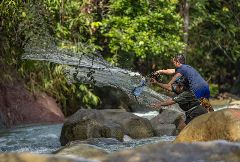 Image of fishers throwing a large net into a river with rocks and a forest in the background.