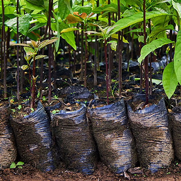 From seed funding to success