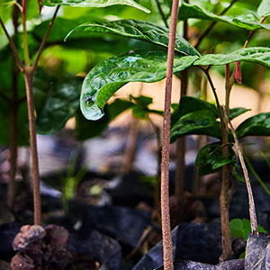From seed funding to success