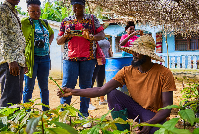 Image of a man holding up a piece of a plant, showing it to three women who stand around him. They are standing beside and behind a row of seedlings.