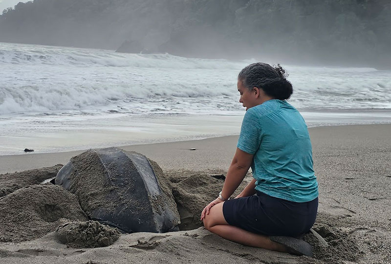 Image of Kathryn kneeling on a beach beside a turtle.