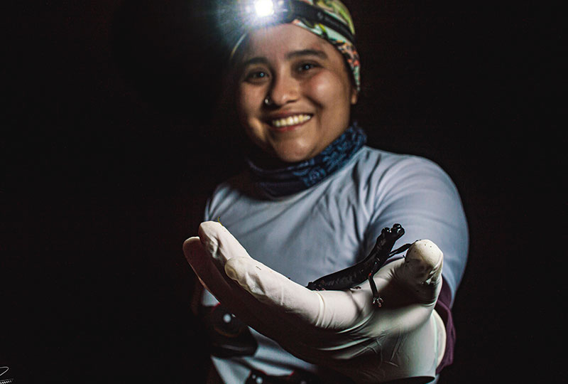 Image of María wearing a flashlight on her head, smiling and holding her left arm towards the camera. On her left hand sits a nimble long-limbed salamander.